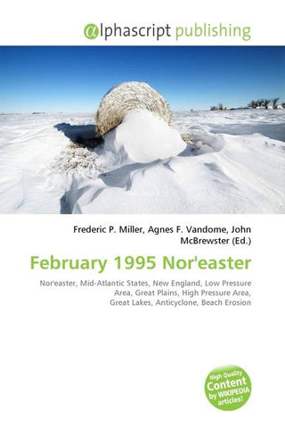 February 1995 Nor'easter