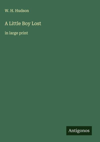 A Little Boy Lost