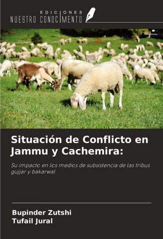 Situación de Conflicto en Jammu y Cachemira: