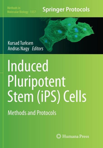 Induced Pluripotent Stem (iPS) Cells