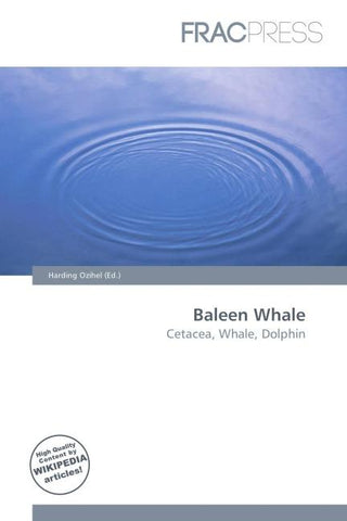 Baleen Whale
