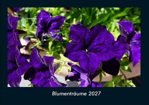 Blumenträume 2027 Fotokalender DIN A4