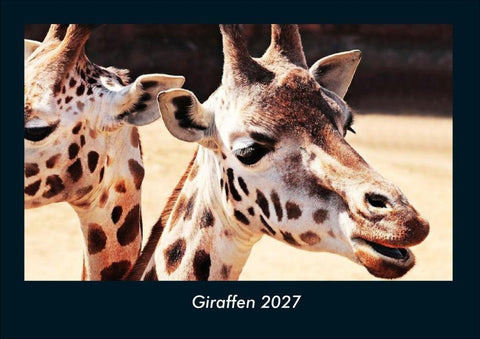 Giraffen 2027 Fotokalender DIN A4