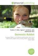 Domestic Rabbit