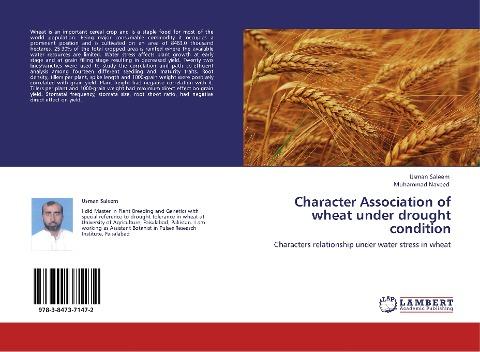 Character Association of wheat under drought condition