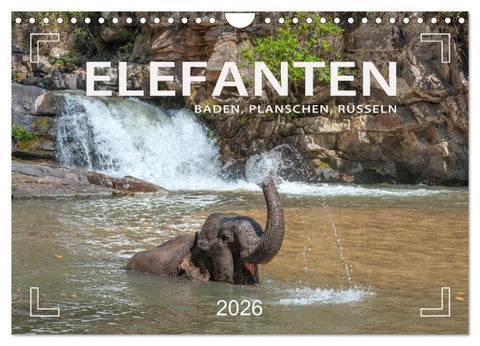 Elefanten - Baden, Planschen, Rüsseln (Wandkalender 2026 DIN A4 quer), CALVENDO Monatskalender