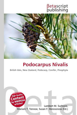 Podocarpus Nivalis
