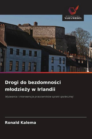 Drogi do bezdomno¿ci m¿odzie¿y w Irlandii