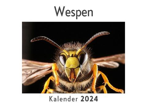 Wespen (Wandkalender 2024, Kalender DIN A4 quer, Monatskalender im Querformat mit Kalendarium, Das perfekte Geschenk)