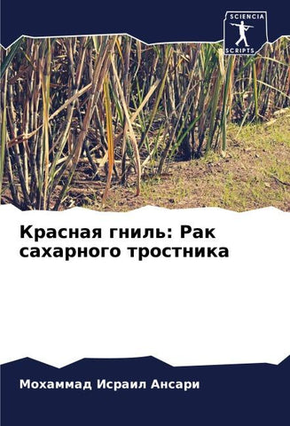 Krasnaq gnil': Rak saharnogo trostnika
