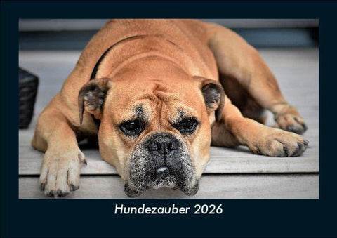 Hundezauber 2026 Fotokalender DIN A5