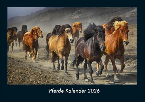 Pferde Kalender 2026 Fotokalender DIN A4