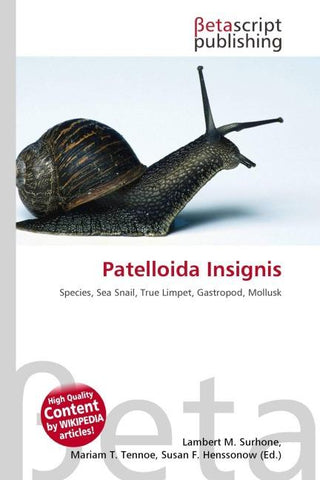 Patelloida Insignis