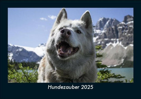 Hundezauber 2025 Fotokalender DIN A5