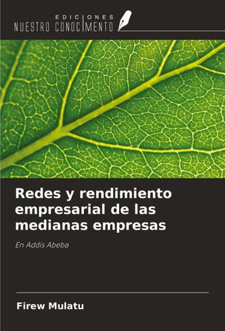Redes y rendimiento empresarial de las medianas empresas