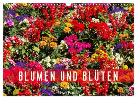 Blumen und Blüten (Wandkalender 2026 DIN A3 quer), CALVENDO Monatskalender