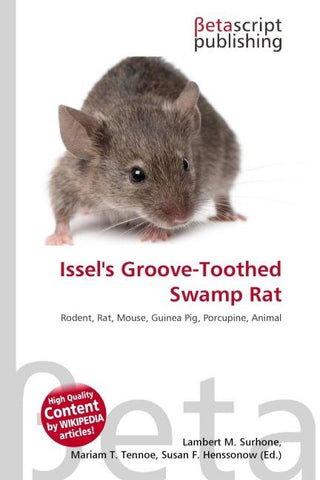 Issel's Groove-Toothed Swamp Rat