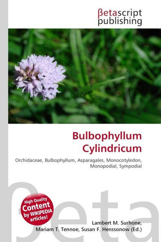 Bulbophyllum Cylindricum