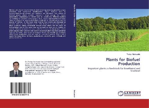 Plants for Biofuel Production