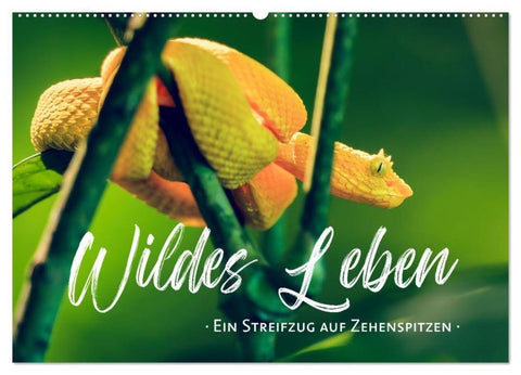 Wildes Leben - Ein Streifzug auf Zehenspitzen (Wandkalender 2026 DIN A2 quer), CALVENDO Monatskalender