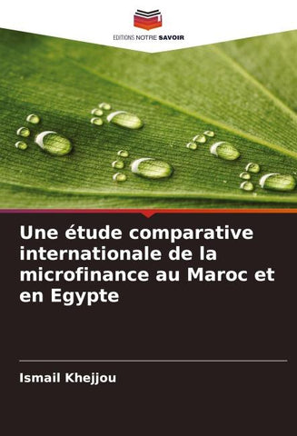 Une étude comparative internationale de la microfinance au Maroc et en Egypte