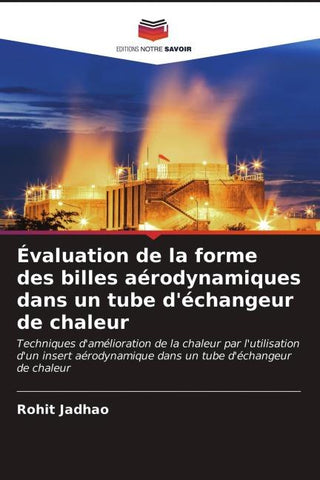 Évaluation de la forme des billes aérodynamiques dans un tube d'échangeur de chaleur