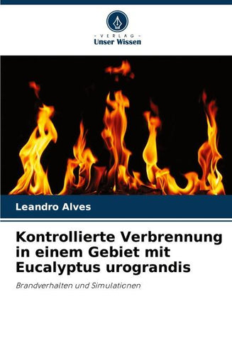 Kontrollierte Verbrennung in einem Gebiet mit Eucalyptus urograndis
