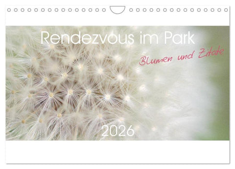 Rendezvous im Park (Wandkalender 2026 DIN A4 quer), CALVENDO Monatskalender