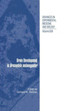 Brain Development in Drosophila melanogaster