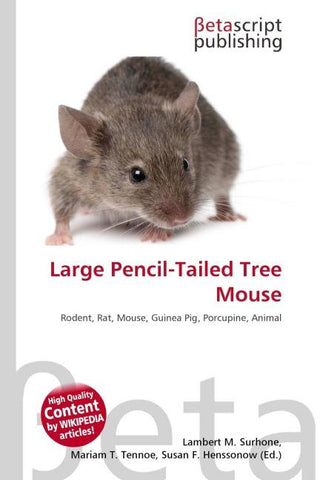 Large Pencil-Tailed Tree Mouse
