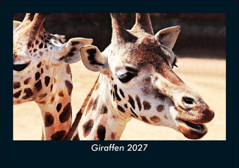 Giraffen 2027 Fotokalender DIN A5