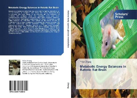 Metabolic Energy Balances in Ketotic Rat Brain
