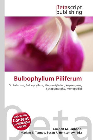 Bulbophyllum Piliferum