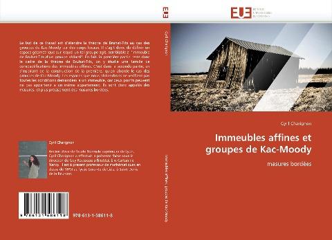 Immeubles affines et groupes de Kac-Moody