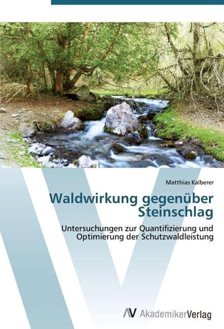 Waldwirkung gegenüber Steinschlag