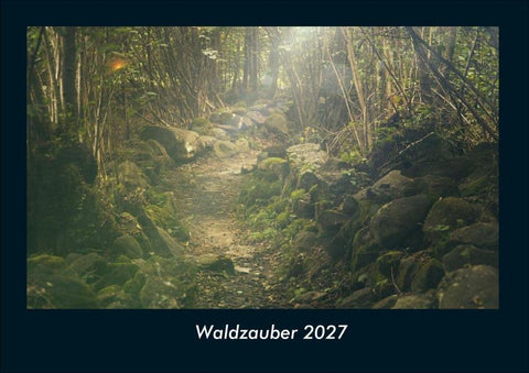 Waldzauber 2027 Fotokalender DIN A4