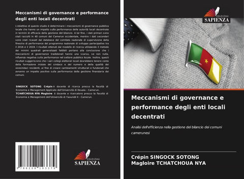 Meccanismi di governance e performance degli enti locali decentrati