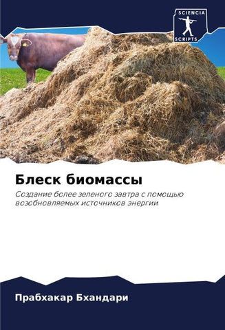 Blesk biomassy