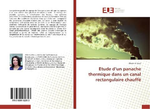 Etude d'un panache thermique dans un canal rectangulaire chauffé