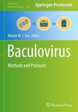 Baculovirus