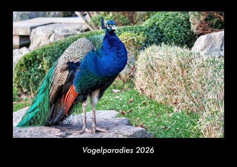 Vogelparadies 2026 Fotokalender DIN A3