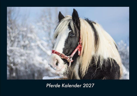 Pferde Kalender 2027 Fotokalender DIN A4