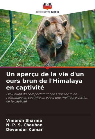 Un aperçu de la vie d'un ours brun de l'Himalaya en captivité
