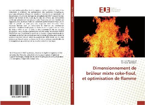 Dimensionnement de brûleur mixte coke-fioul, et optimisation de flamme