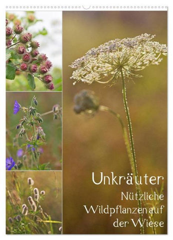 Unkräuter - Nützliche Wildpflanzen auf der Wiese (Wandkalender 2026 DIN A2 hoch), CALVENDO Monatskalender