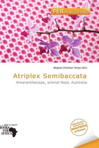 Atriplex Semibaccata