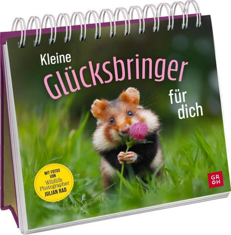 Kleine Glücksbringer für dich