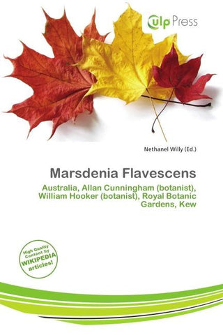 Marsdenia Flavescens