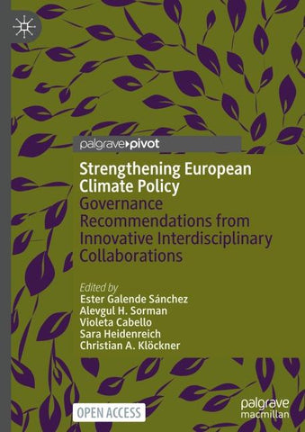 Strengthening European Climate Policy