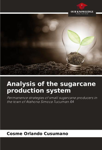 Analysis of the sugarcane production system